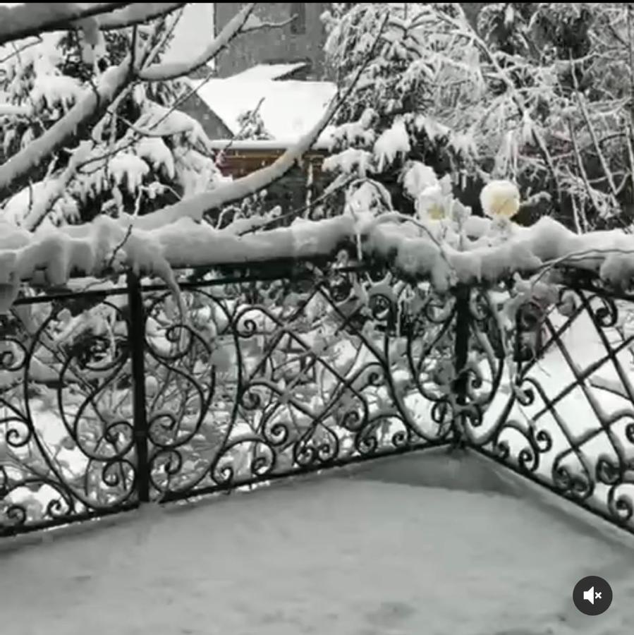 Vila Panorama Voskopoje Ξενοδοχείο Εξωτερικό φωτογραφία